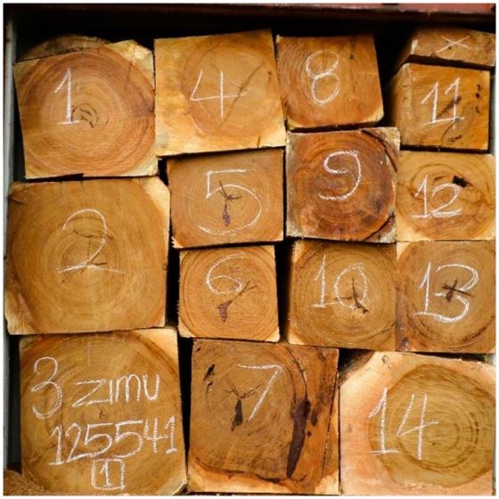 Teak Wood (Tectona Grandis)