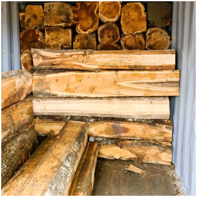 Teak Wood (Tectona Grandis)