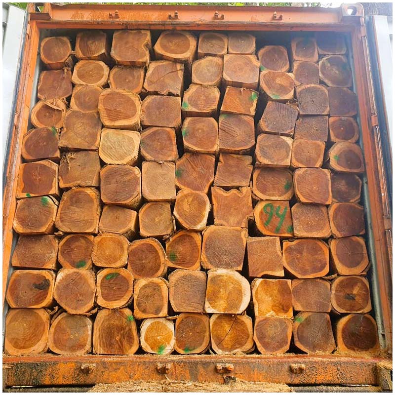 Teak Wood (Tectona Grandis)