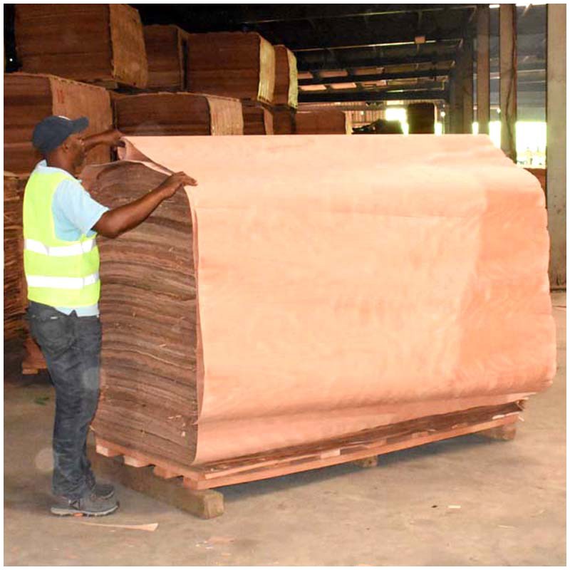 Face Veneer / Plywood