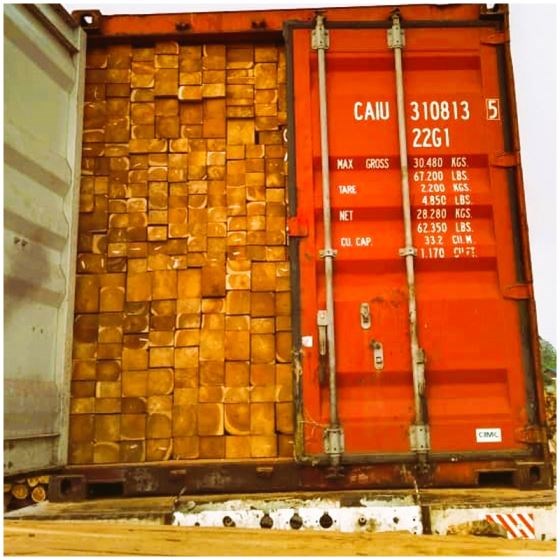 Teak Wood (Tectona Grandis)